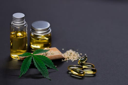 Does CBD Make You Hungry? Exploring the Effects of Cannabidiol on Appetite